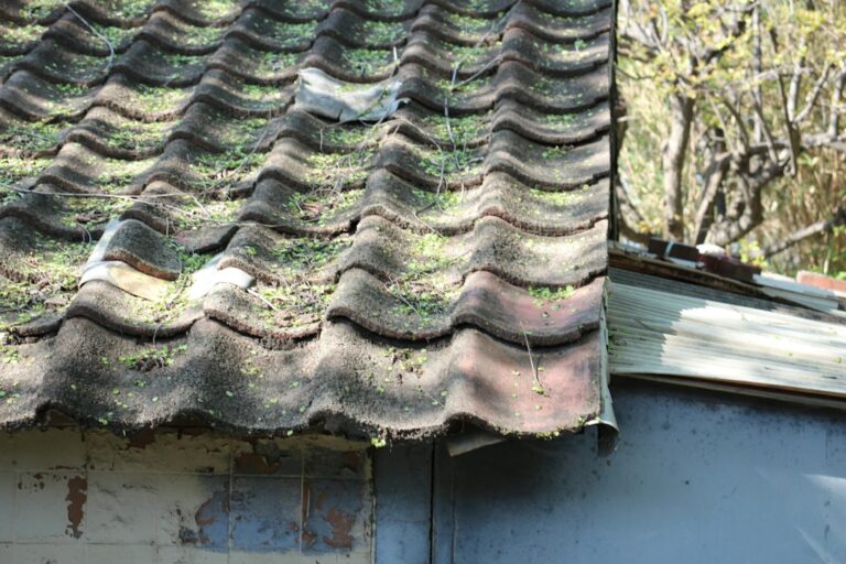 A homeowner places a bucket beneath a ceiling leak while storm-damaged roofing is visible through a window.